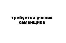  требуется ученик каменщика